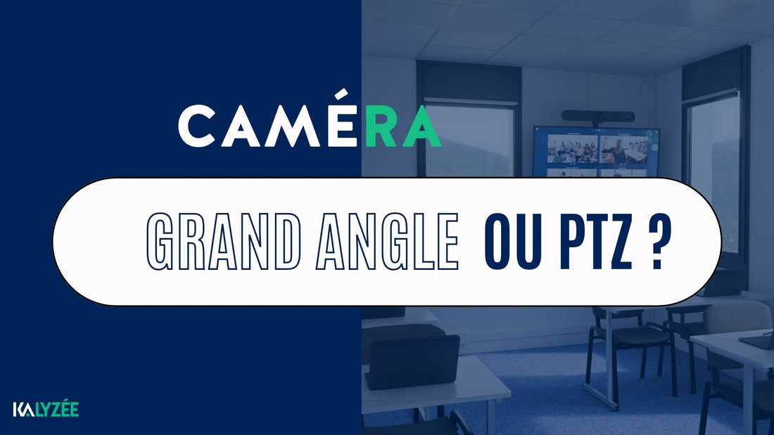caméra grand angle ou ptz ?