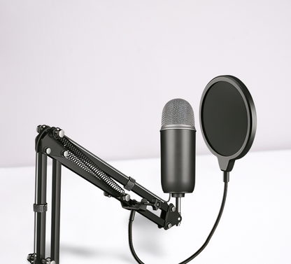 Filtre Anti-pop microphone